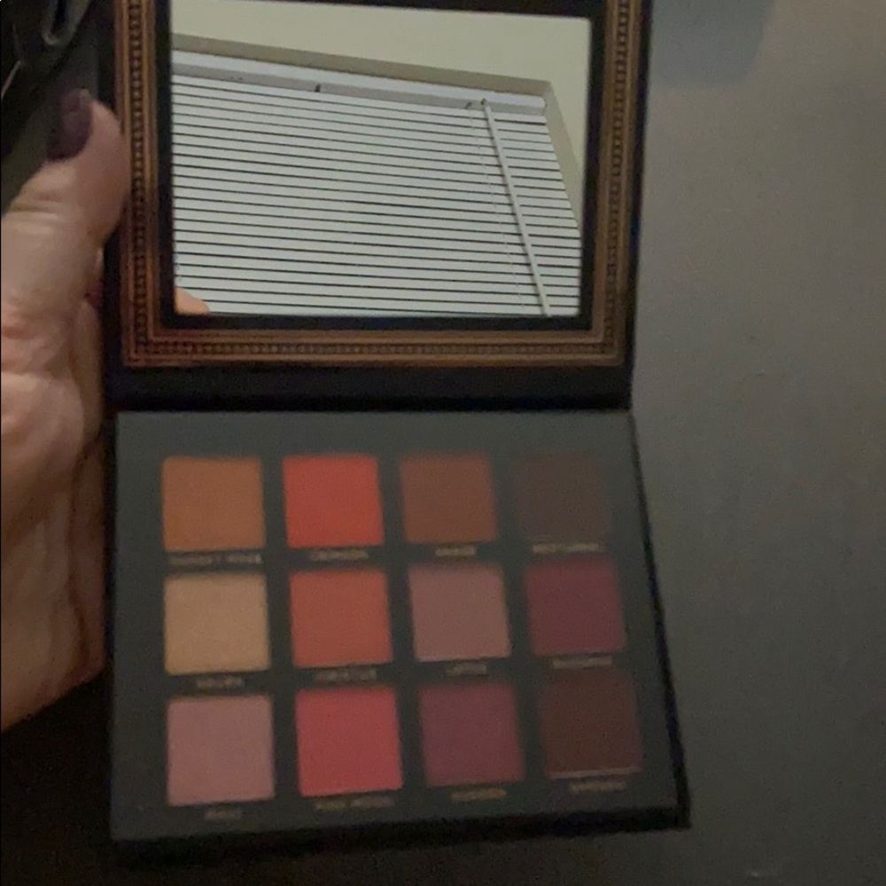 Brand New Ace Beaute Eyeshadow Pallette